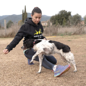 El perro atleta