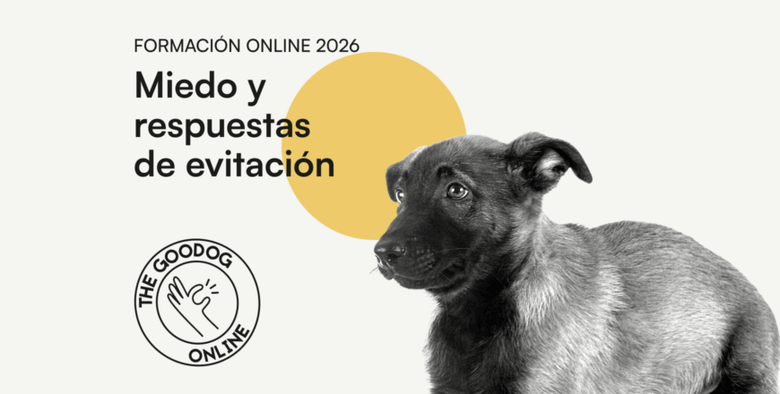 870x440 -_ web (1).png