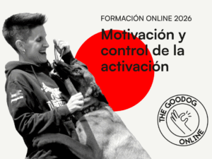 870x440 -_ web (2).png