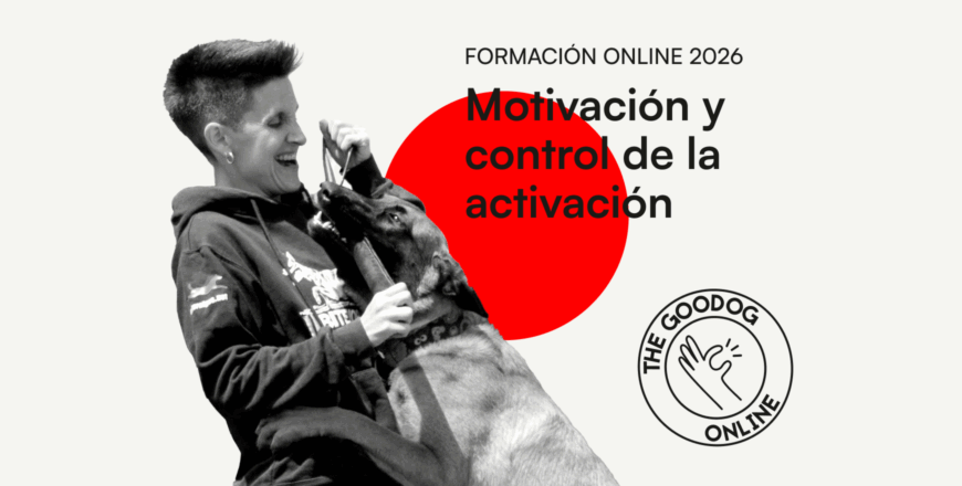 870x440 -_ web (2).png