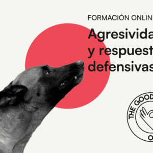 Agresividad y respuestas defensivas