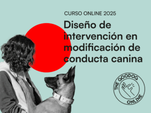 TGD_curso_disenyo_de_intervencion_en_modificacion_de_conducta_2025_cover.png