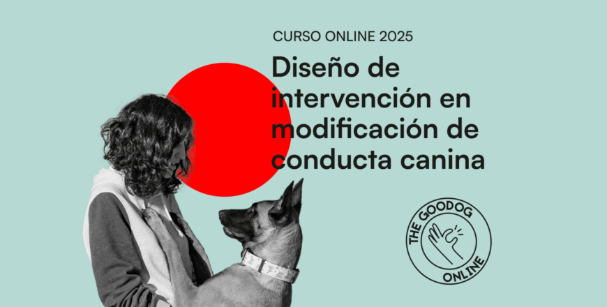 TGD_curso_disenyo_de_intervencion_en_modificacion_de_conducta_2025_cover.png