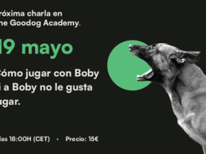 Artboard 21 copy 4.png