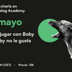 Cómo jugar con Boby si a Boby no le gusta jugar