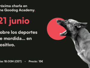 Artboard 21 copy 5.png