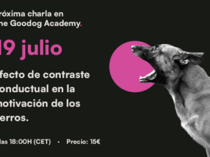 Artboard 21 copy 6.png