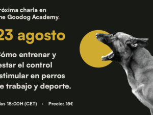 Artboard 21 copy 7.png