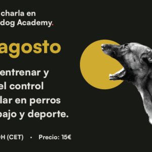 Cómo entrenar y testar el control estimular en perros de trabajo y deporte