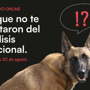 Lo que no te contaron sobre el análisis funcional