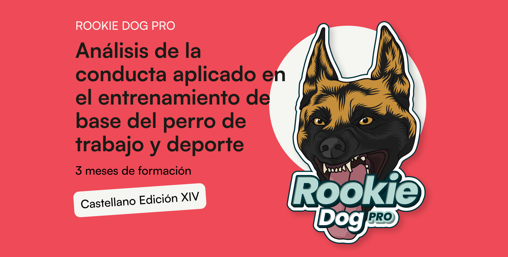 Rookie Dog Pro · Edición XIV